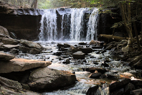 Rickett’s Glen State Park