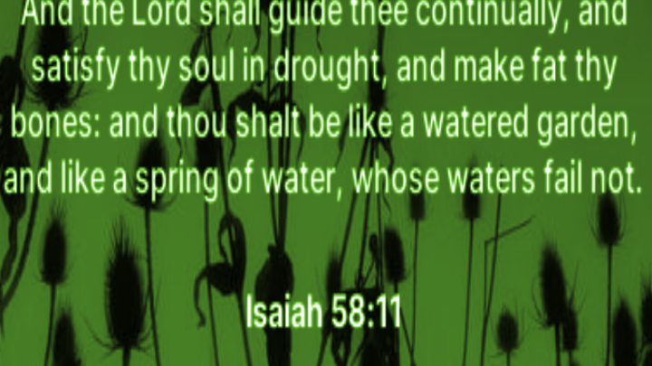An Abundant Life…